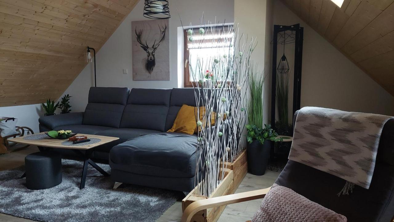 Apartman Pod Smrcinou Vaclavov u Bruntalu ภายนอก รูปภาพ