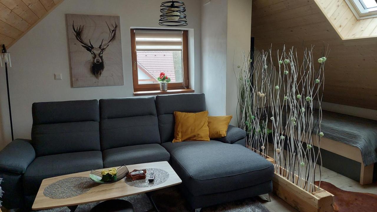 Apartman Pod Smrcinou Vaclavov u Bruntalu ภายนอก รูปภาพ
